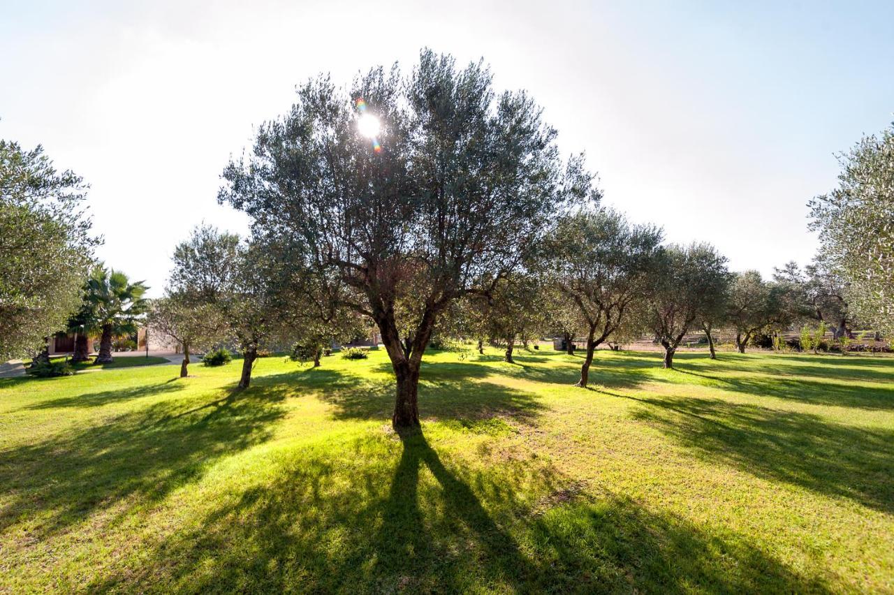 فيلا Olive Garden House بورغوني المظهر الخارجي الصورة